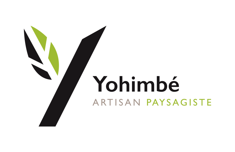 YOHIMBE